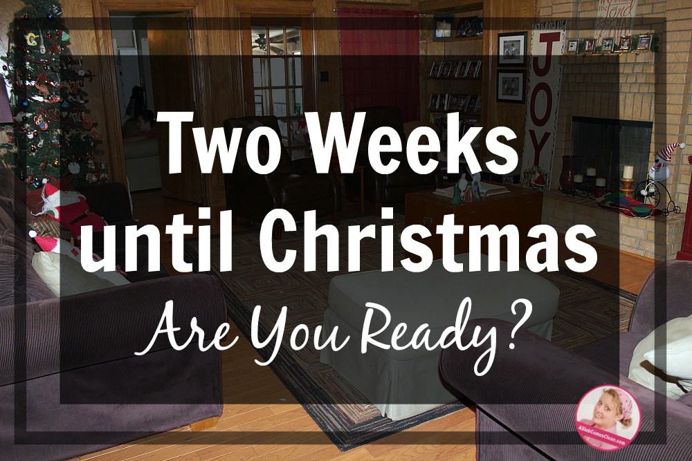 Two Weeks until Christmas Are You Ready at ASlobComesClean.com