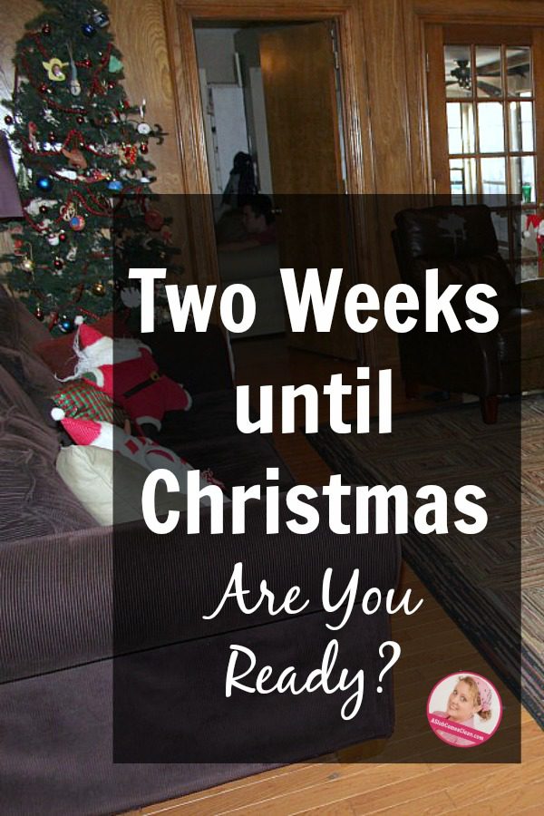 Two Weeks until Christmas Are You Ready declutter organize clean at ASlobComesClean.com