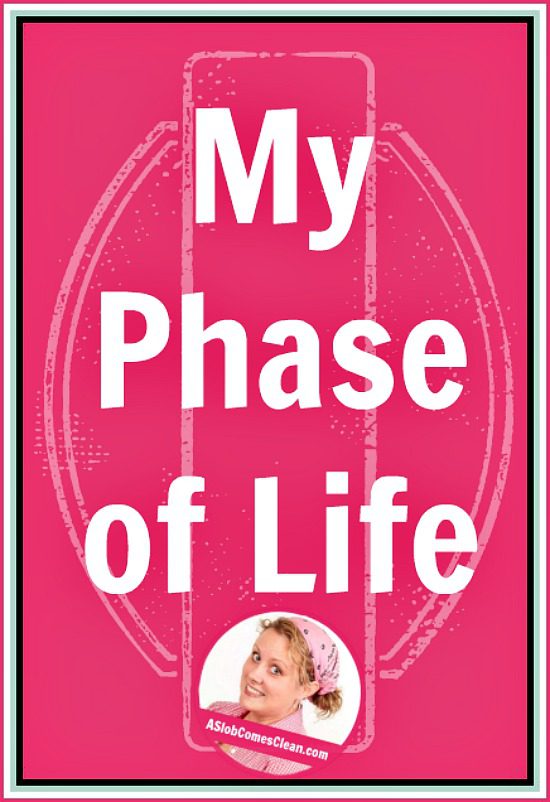 My Phase of Life pin at ASlobComesClean.com