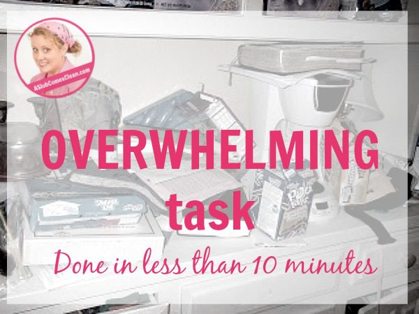 OVERWHELMING task - Done in less than 10 minutes fb at ASlobComesClean.com fb