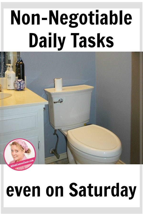 non-negotiable daily tasks wipe down bathroom at ASlobcomesClean.com