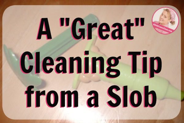 _ A _Great_ Cleaning Tip from a Slob