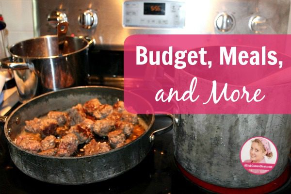 Budget, Meals, and More at ASlobComesClean.com