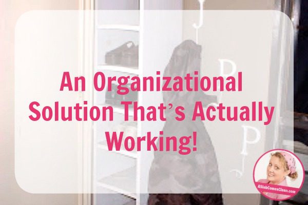 An Organizational solution that’s actually working! at ASlobcomesClean.com