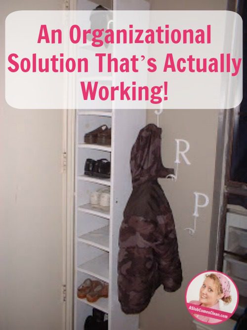 An Organizational solution that’s actually working! pin at ASlobComesClean.com