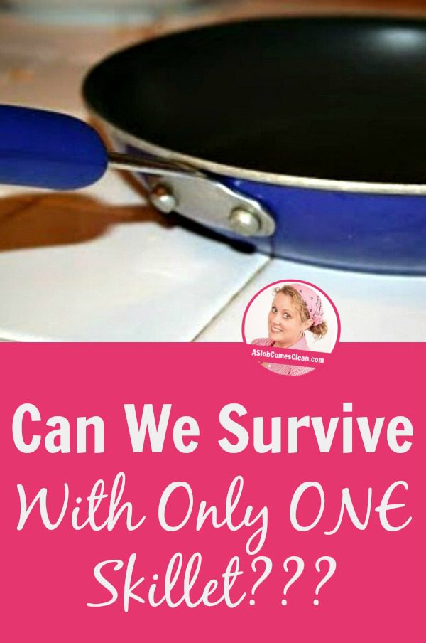 Can We Survive With Only ONE Skillet pin at ASlobComesClean.com