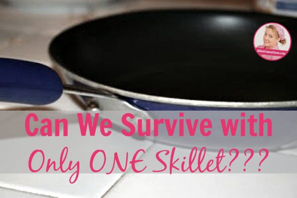 Can We Survive with Only ONE Skillet at ASlobComesClean.com