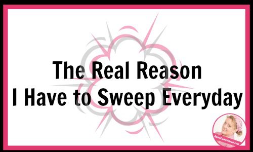 The Real Reason I Have to Sweep Everyday at ASlobComesClean.com fb