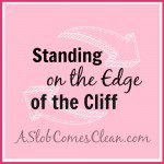 Standing on the Edge of the Cliff - A Slob Comes Clean