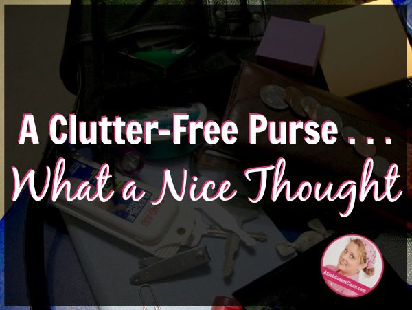 A Clutter-Free Purse . . . What a Nice Thought at ASlobComesClean.com fb