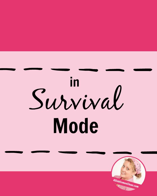 In Survival Mode - A Slob Comes Clean
