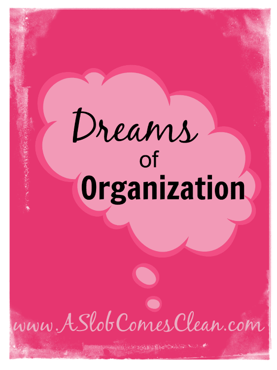 Dreams of Organization - A Slob Comes Clean