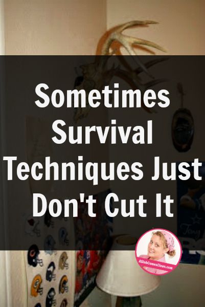 Sometimes Survival Techniques Just Don't Cut It - A Slob Comes Clean