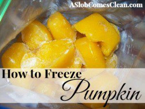 How to Freeze Pumpkin at ASlobComesClean.com