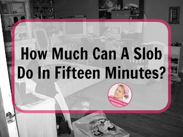 how-much-can-a-slob-do-in-fifteen-minutes-at-aslobcomesclean-com-fb