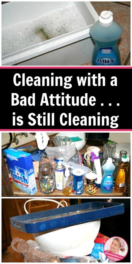 cleaning-with-a-bad-attitude-is-still-cleaning-at-aslobcomesclean-com-pin