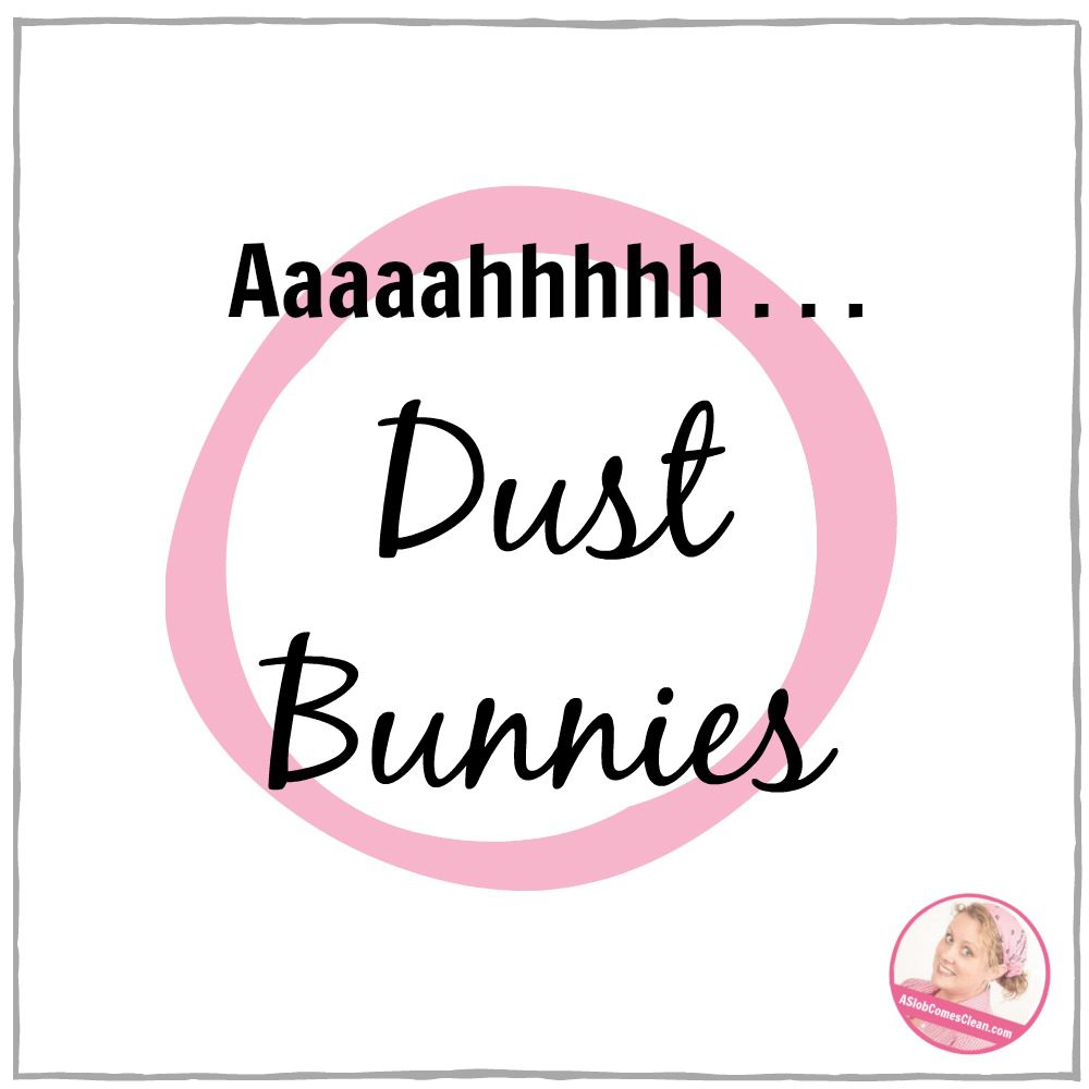 search for dust bunnies at aslobcomesclean.com