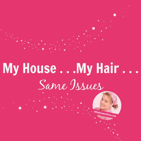 My House My Hair Same Issues - A Slob Comes Clean