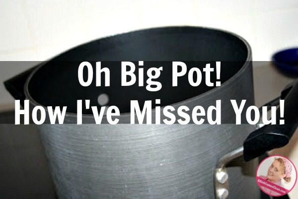 oh-big-pot-how-ive-missed-you-at-aslobcomesclean-com-fb