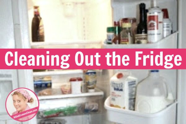 How To Organize A French Door Refrigerator (+ Free KonMari Checklist)