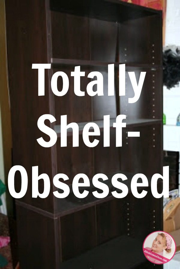 Totally Shelf-Obsessed containerize with shelves at ASlobComesClean.com