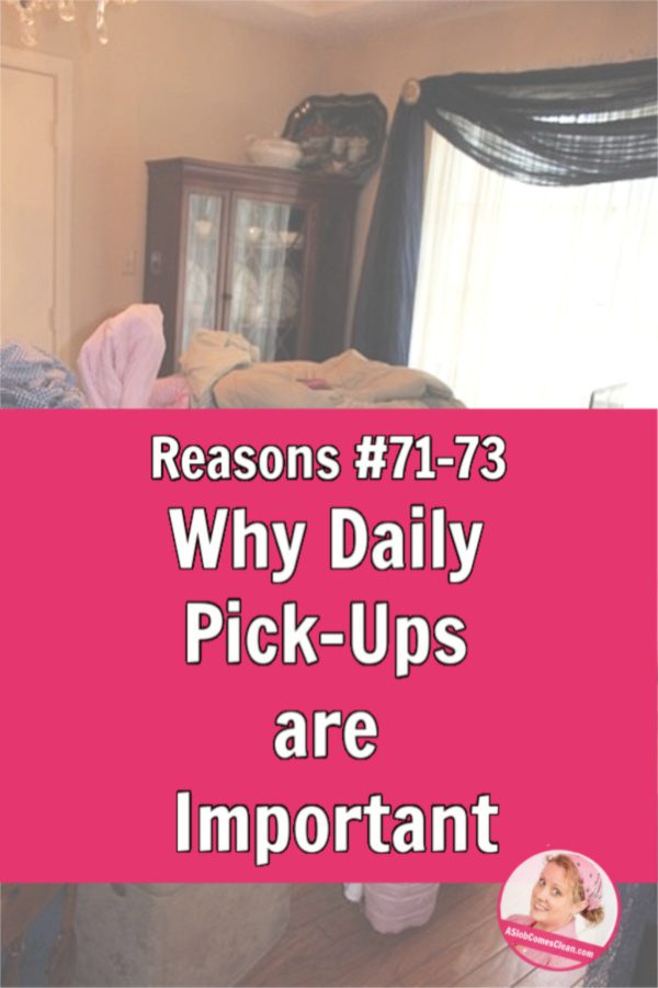 Daily Pick Up Important Reasons 73-75 at ASlobComesClean.com