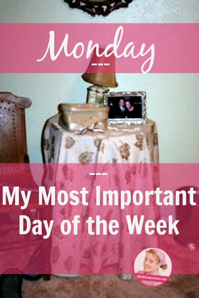 Monday - My Most Important Day of the Week at ASlobComesClean.com