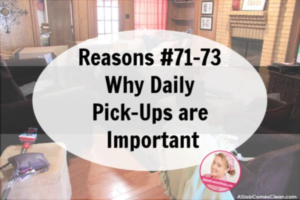 Reasons 71-73 Why Daily Pick-Ups are Important at ASlobcomesClean.com