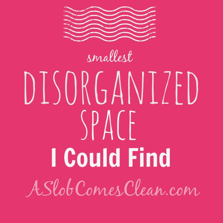The Smallest Disorganized Space I Could Find - A Slob Comes Clean