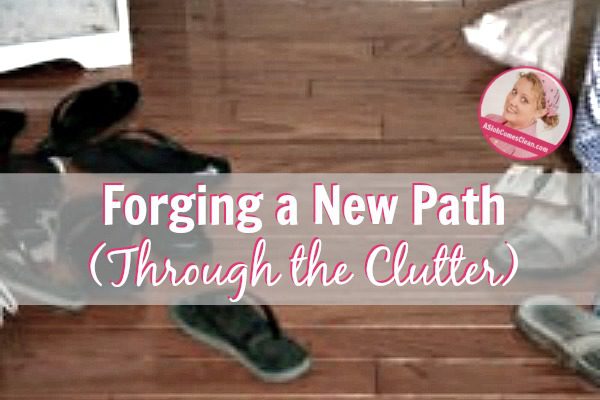 Forging a New Path (Through the Clutter) at ASlobComesClean.com