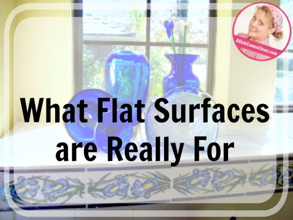 What Flat Surfaces are Really For at ASlobComesClean.com