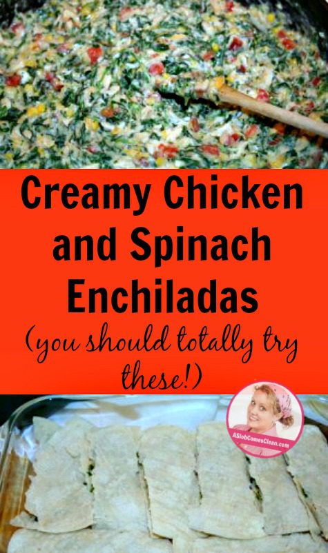 Creamy Chicken and Spinach Enchiladas - A Slob Comes Clean