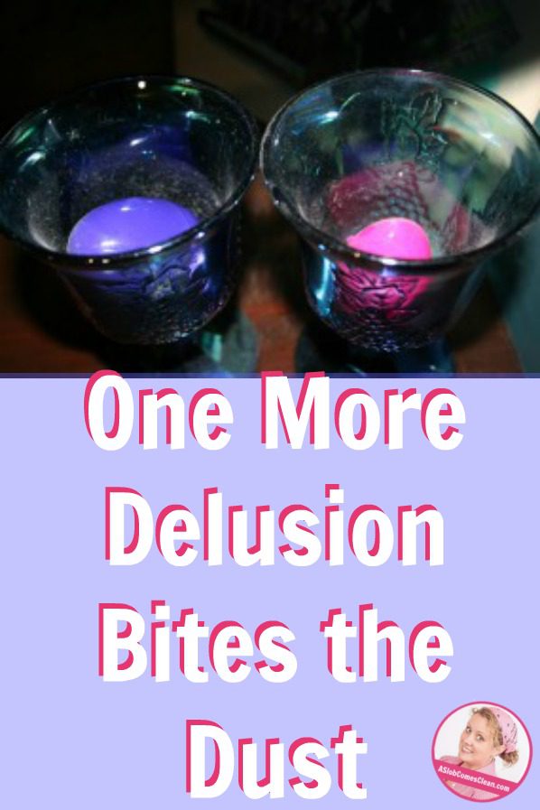 One More Delusion Bites the Dust at ASlobComesClean.com pin