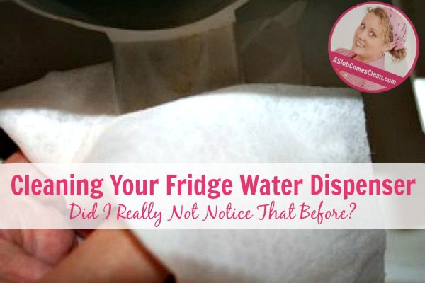 Cleaning Your Fridge Water Dispenser Did I Really Not Notice That Before at ASlobComesClean.com fb