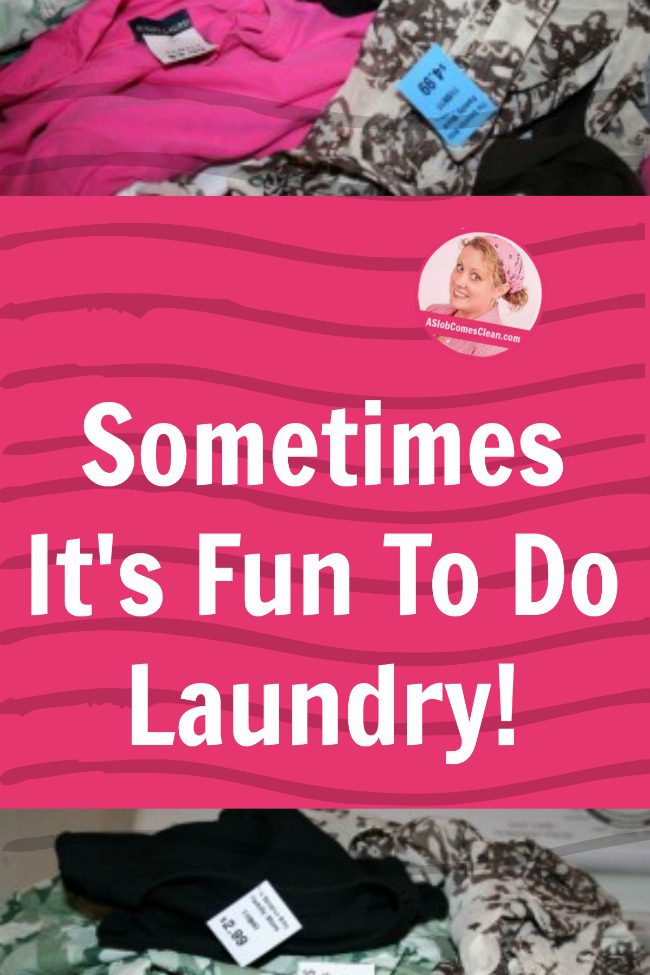 Sometimes It's Fun To Do Laundry at ASlobComesClean.com