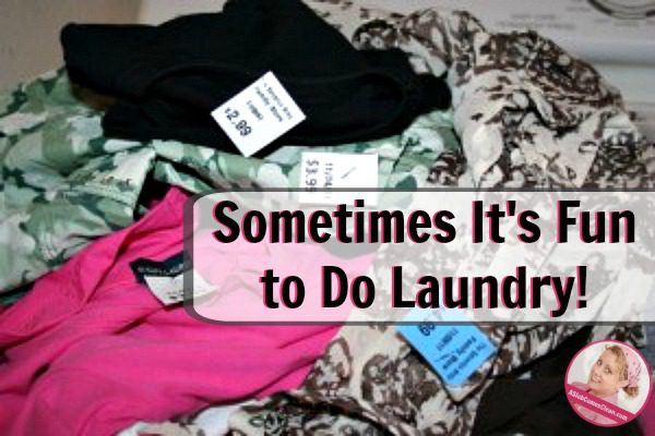 sometimes-its-fun-to-do-laundry-at-aslobcomesclean-com-fb