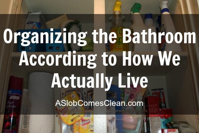 Making Shower Cleaning as EASY as Possible - Dana K. White: A Slob Comes  Clean