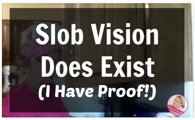 Slob Vision Does Exist (I Have Proof!) at ASlobComesClean.com
