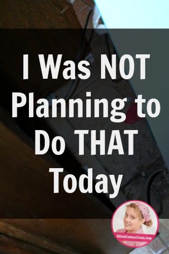 I Was NOT Planning to do THAT Today at ASlobComesClean.com