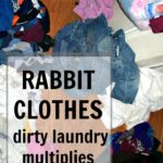 rabbit-clothes-dirty-laundry-multiplies-like-rabbits-at-aslobcomesclean-com-pin