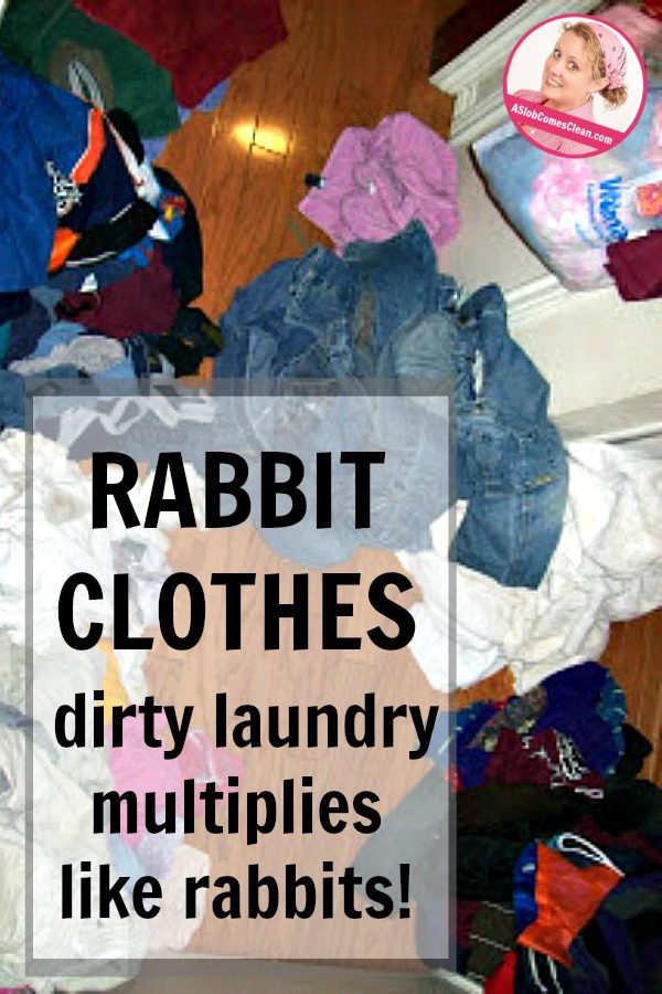 rabbit-clothes-dirty-laundry-multiplies-like-rabbits-at-aslobcomesclean-com-pin