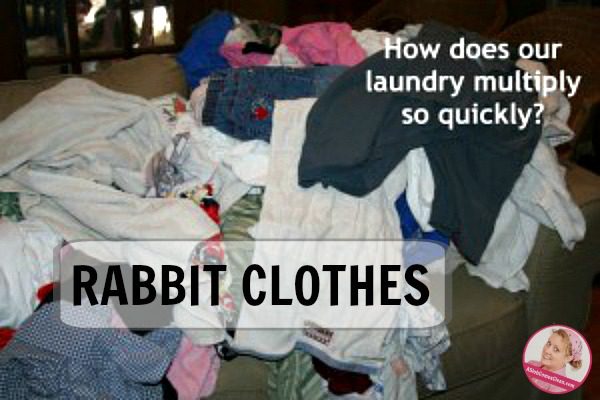 rabbit-clothes-laundry-that-multiplies-like-rabbits-at-aslobcomesclean-com-fb