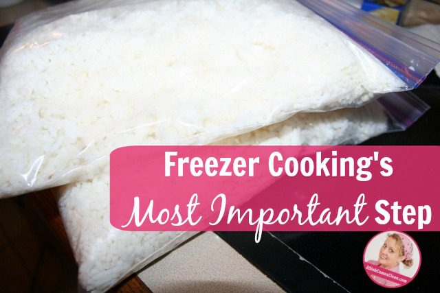 Freezer Cooking's Most Important Step fb at ASlobComesClean.com