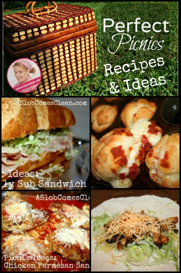 Perfect Picnic Recipes and Ideas at ASlobComesClean.com