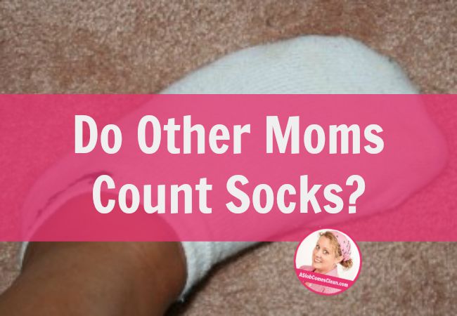 Do Other Moms Count Socks - A Slob Comes Clean