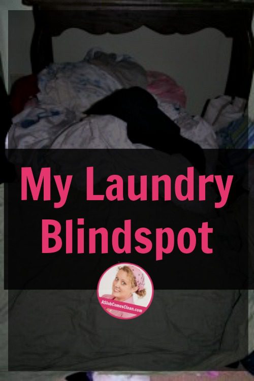 My Laundry Blindspot at ASlobComesClean.com