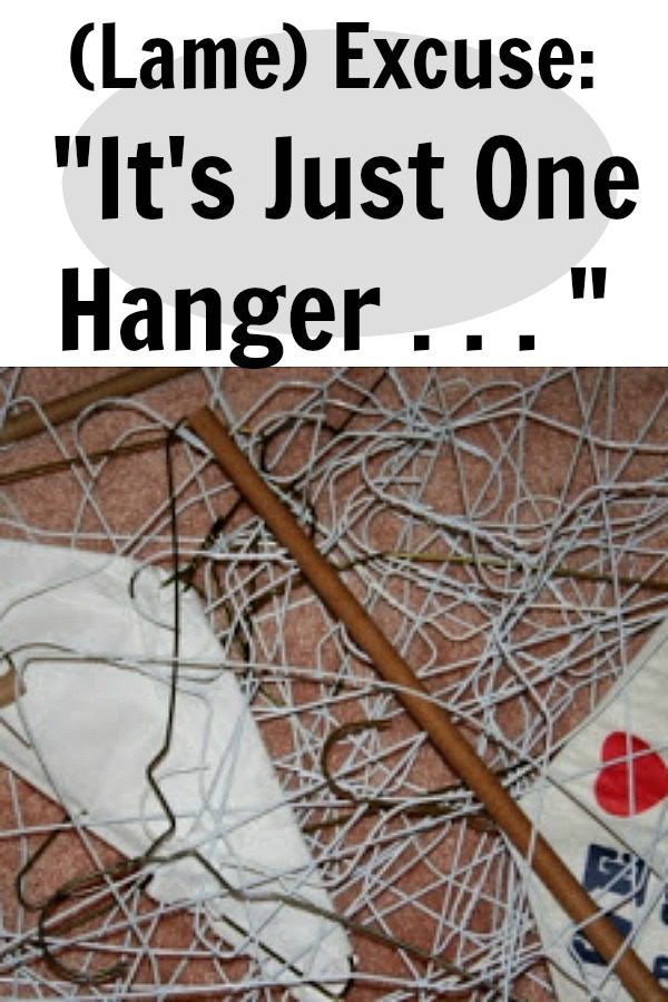 (Lame) Excuse It's Just One Hanger . . . When one become two, or twenty-five at ASlobComesClean.com