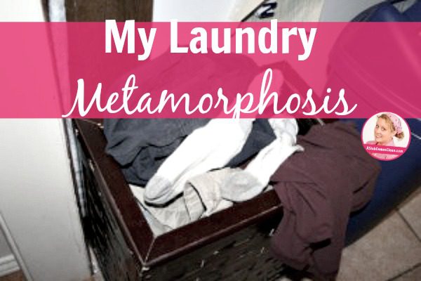 My Laundry Metamorphosis title at ASlobComesClean