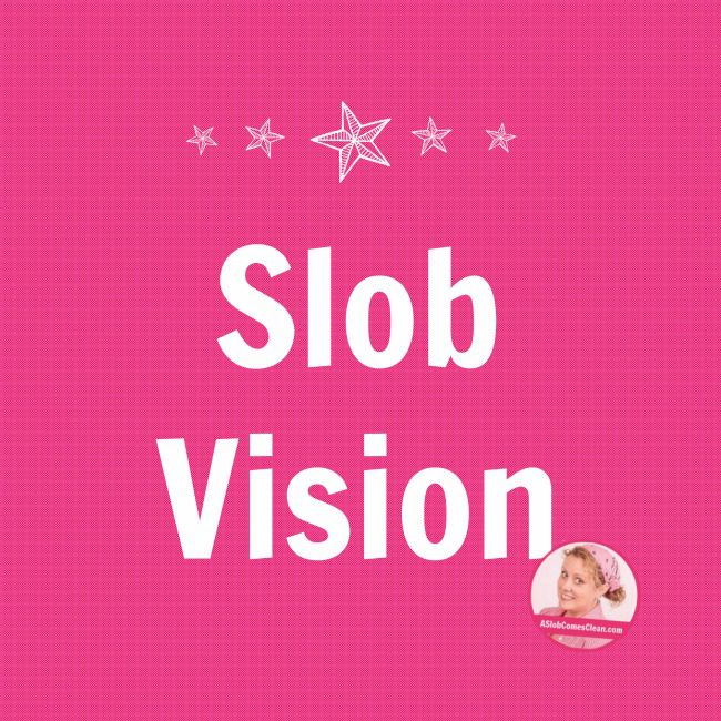 Slob Vision at ASlobComesClean.com