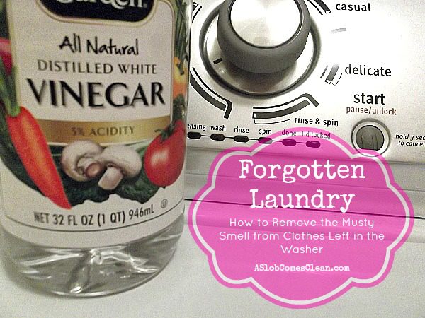 How to get rid of musty smell from washing machine Forgotten Laundry How To Remove The Stink From Clothes Left In The Washer A Slob Comes Clean